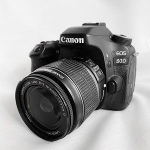 Canon EOS 80D (Body and lenses)